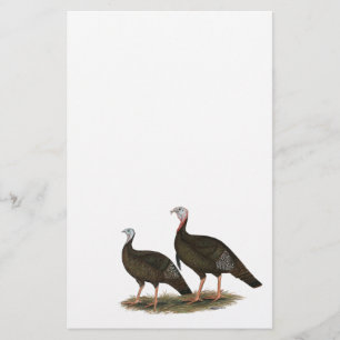 Turkeys East Wild Pair