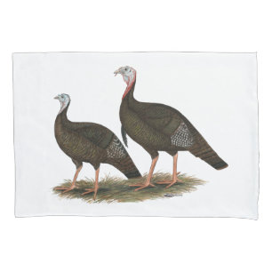 Turkeys East Wild Pair