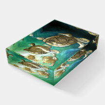 Turla Sunlight Natação