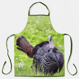 Turquia fecha Apron