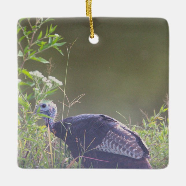 Turquia Selvagem Escondida com Ornamento de Grama (Frente)