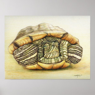 "Turtle" Art Reproduction Impressão