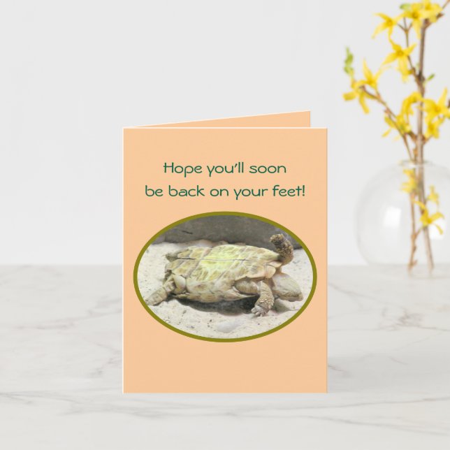 "TURTLE LIGOU AS COSTAS", PEGUE BEM CARTÃO (Flor Amarela)