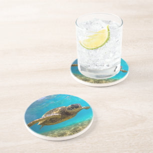 Turtle Sandstone Porta copos