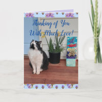 Tuxedo Cat Engraçado Pensando em você Cartão de Am
