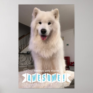 Tyberius diz que você é impressionante - poster