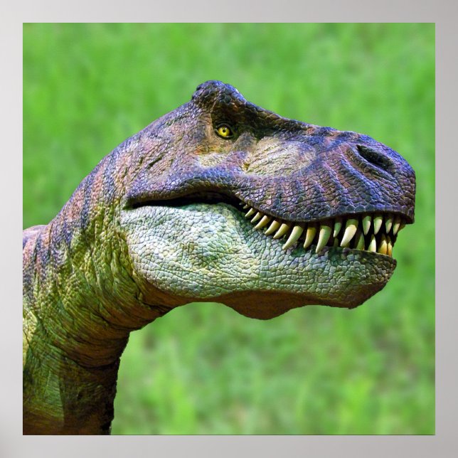 Tyrannosaurus Rex Poster (Frente)