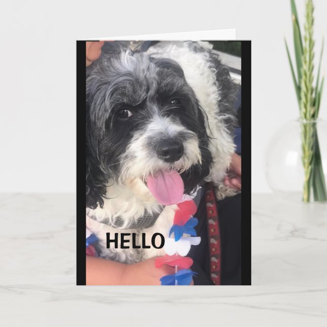 U R FABULOSO E **50** CARTÃO DE ANIVERSÁRIO (Frente)