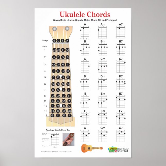Ukulele Chords Finger Chart e Fretboard Poster (Frente)