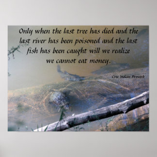 Último rio e Poster de Peixe