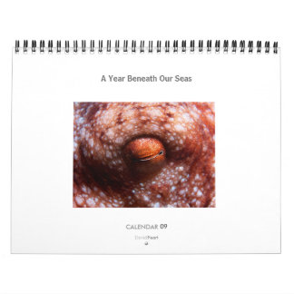Um ano abaixo de nossos mares - calendário 2009