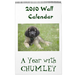 Um ano com o calendário de parede de Chumley 2010