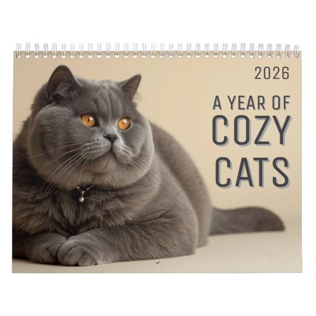 Um Ano de Calendário de Gatos Aconchegantes (Capa)