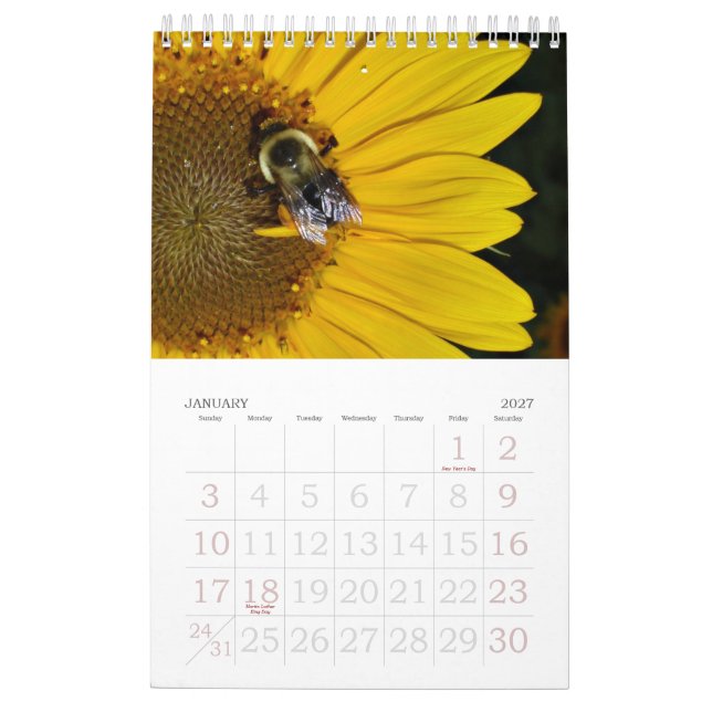 Um ano de calendário dos girassóis 2013 (Jan 2027)