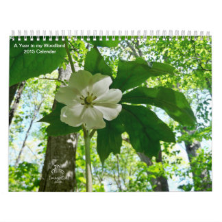 Um ano em meu calendário da floresta 2015