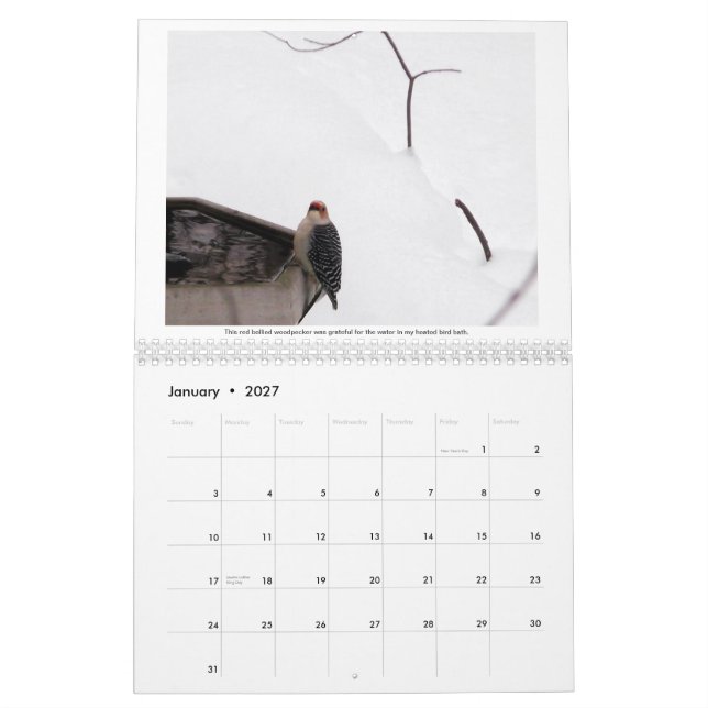 Um ano em meu calendário da floresta 2015 (Jan 2027)