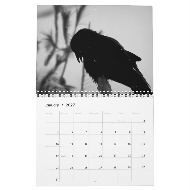 Um assassinato do calendário 2015 dos corvos (Jan 2027)