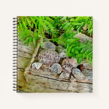 Um belo diário com a natureza e afirmando bagunça