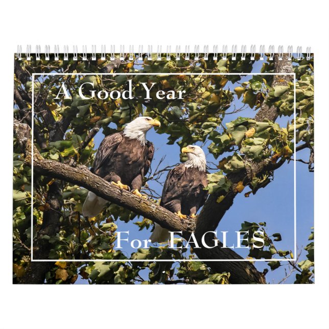 Um Bom Ano Para O Calendário Das Águias (Capa)