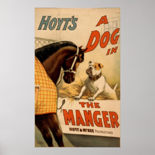 Um Cachorro na Poster do Teatro Manger Vintage