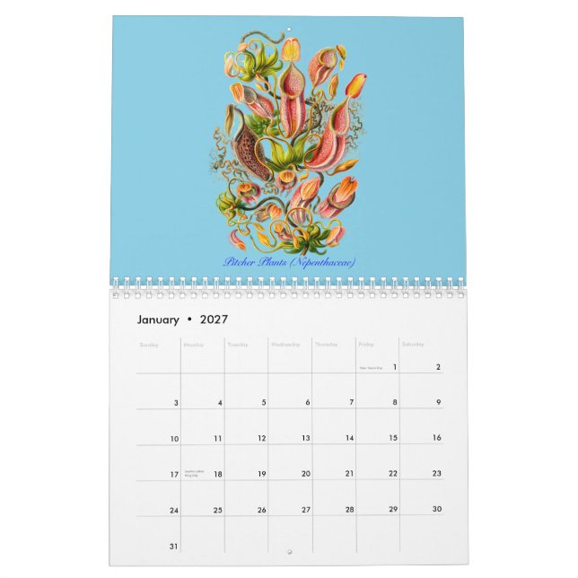 Um calendário das plantas de Ernst Haeckel (Jan 2027)