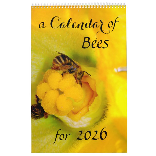 Um calendário de abelhas para 2025 - 11 x 14¼ pole (Capa)