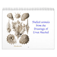 Um calendário de desenhos do escudo de Ernst
