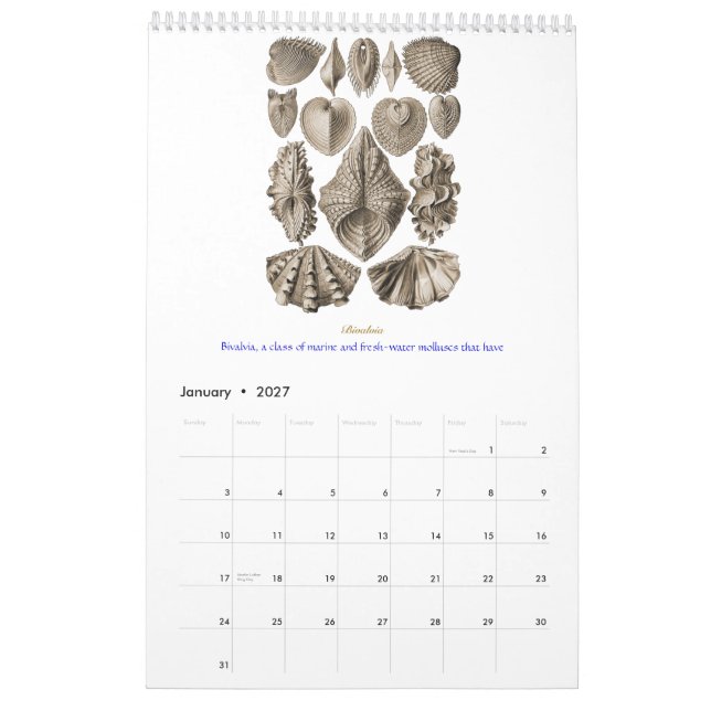 Um calendário de desenhos do escudo de Ernst (Jan 2027)