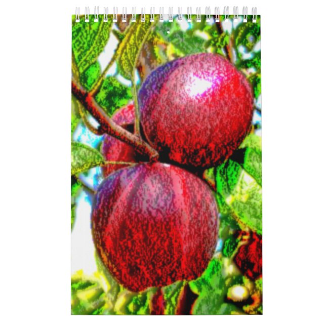 Um calendário de Foodie (Capa)