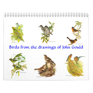 Um calendário de painitings do pássaro de John