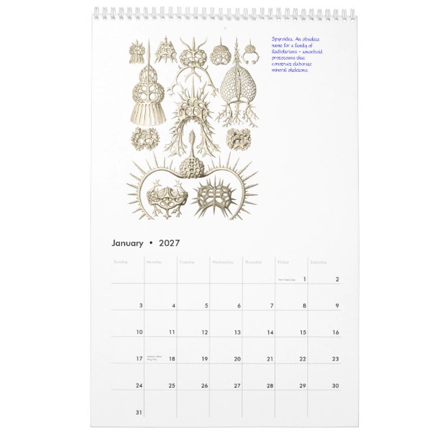 Um calendário dos desenhos de Ernst Haeckel. (Jan 2027)