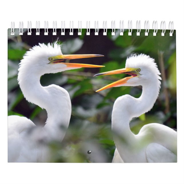 Um Calendário Selvagem Com Fotos De Vida Selvagem (Capa)