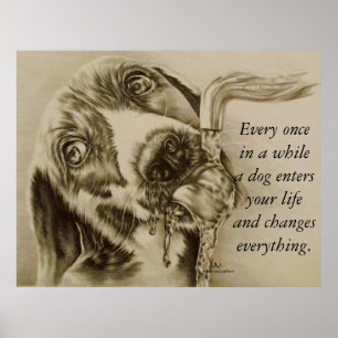 Um cão muda tudo - poster do bebendo do cão