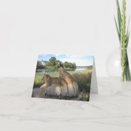 Um Cartão de Amizade