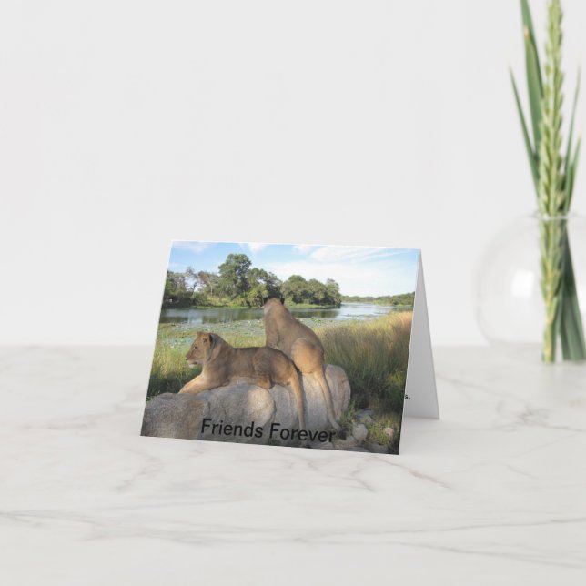 Um Cartão de Amizade (Frente)