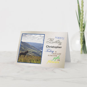 Um cartão de aniversário de cavalo, apenas adici