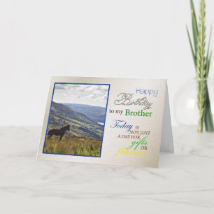 Um cartão de aniversário de cavalo para irmão,