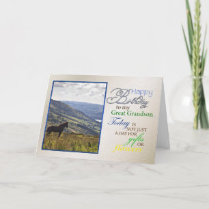 Um cartão de aniversário de cavalo para o neto Exc