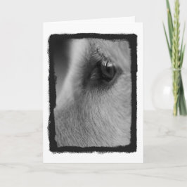 Um cartão pensado fora