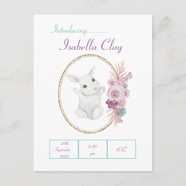 UM CARTÃO POSTAL DE ANÚNCIO DE NASCIMENTO PERSONAL (Frente)