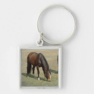 Um cavalo - chaveiro
