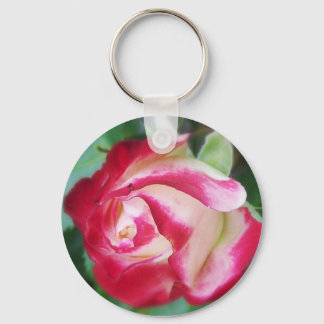 Um Chaveiro de Rosa