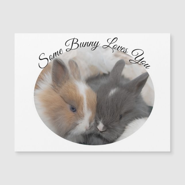 Um Coelhinho Te Ama (Frente)