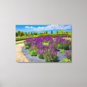 um corredor de canvas iluminadas por sol com flore