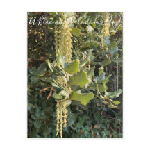 Um Dia de os namorados Blooming! Cartão Postal