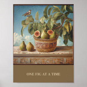 Um Fig Por Poster De Vez