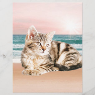 Um gato listrado mais fofo sentado na praia com o