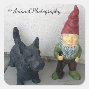 Um gnomo e suas etiquetas do cão