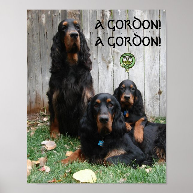UM GORDÃO! UM GORDÃO! Gordon Setter Poster (Frente)