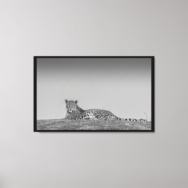 Um Leopardo Negro e Canvas Branca de Arte (Frente)